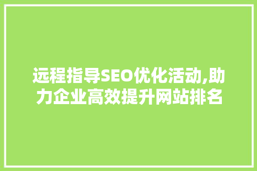 远程指导SEO优化活动,助力企业高效提升网站排名