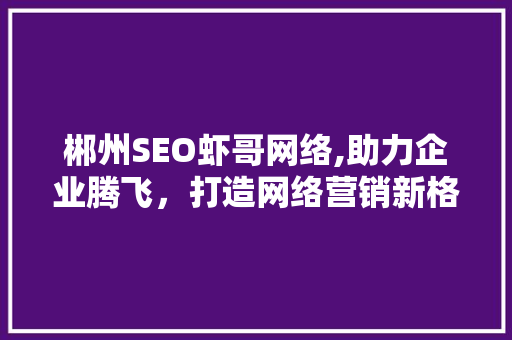 郴州SEO虾哥网络,助力企业腾飞，打造网络营销新格局 编程语言