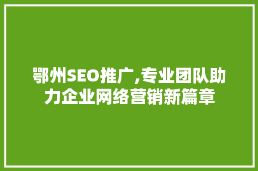 鄂州SEO推广,专业团队助力企业网络营销新篇章