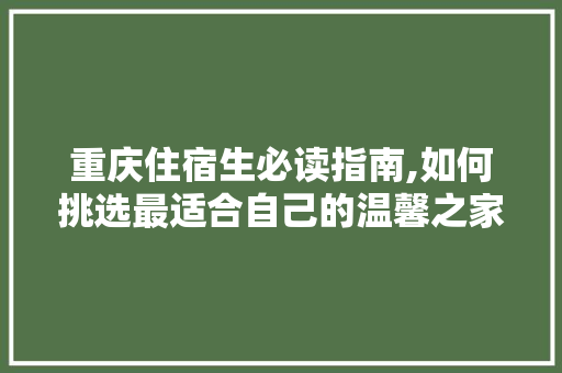 重庆住宿生必读指南,如何挑选最适合自己的温馨之家