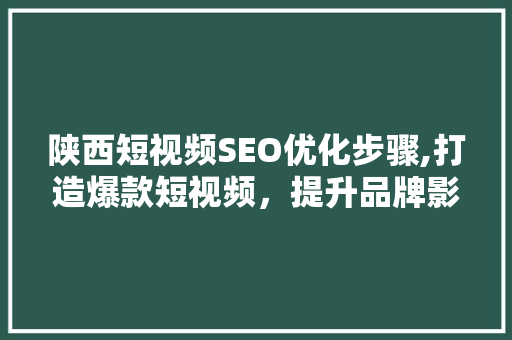 陕西短视频SEO优化步骤,打造爆款短视频，提升品牌影响力
