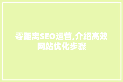 零距离SEO运营,介绍高效网站优化步骤