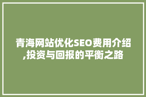 青海网站优化SEO费用介绍,投资与回报的平衡之路
