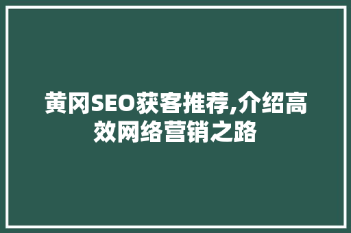 黄冈SEO获客推荐,介绍高效网络营销之路