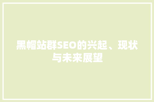 黑帽站群SEO的兴起、现状与未来展望