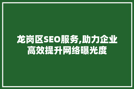 龙岗区SEO服务,助力企业高效提升网络曝光度