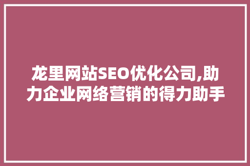 龙里网站SEO优化公司,助力企业网络营销的得力助手