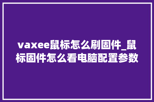 vaxee鼠标怎么刷固件_鼠标固件怎么看电脑配置参数