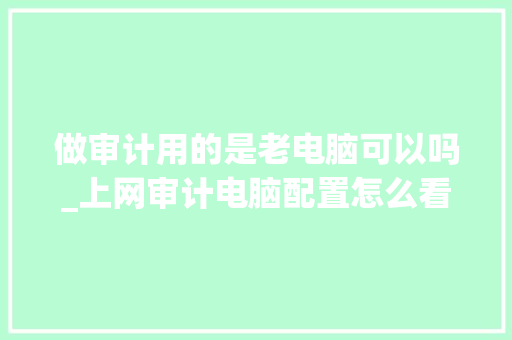 做审计用的是老电脑可以吗_上网审计电脑配置怎么看的