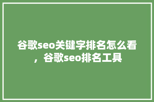 谷歌seo关键字排名怎么看，谷歌seo排名工具