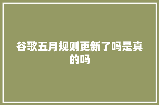 谷歌五月规则更新了吗是真的吗 谷歌五月规则更新了吗是真的吗