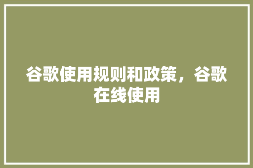 谷歌使用规则和政策，谷歌在线使用