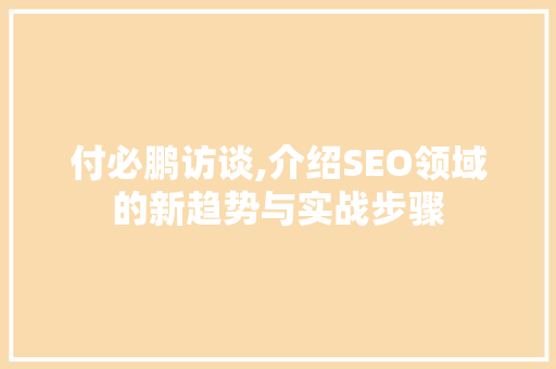 付必鹏访谈,介绍SEO领域的新趋势与实战步骤