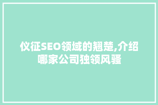 仪征SEO领域的翘楚,介绍哪家公司独领风骚