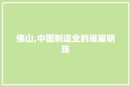 佛山,中国制造业的璀璨明珠