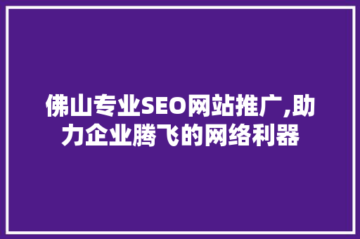 佛山专业SEO网站推广,助力企业腾飞的网络利器