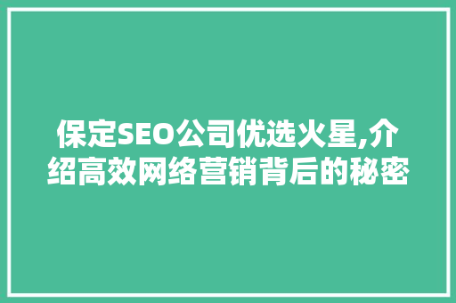 保定SEO公司优选火星,介绍高效网络营销背后的秘密