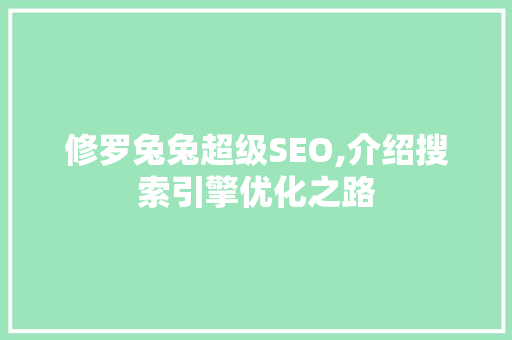 修罗兔兔超级SEO,介绍搜索引擎优化之路