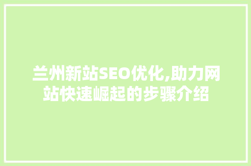 兰州新站SEO优化,助力网站快速崛起的步骤介绍