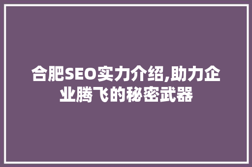 合肥SEO实力介绍,助力企业腾飞的秘密武器