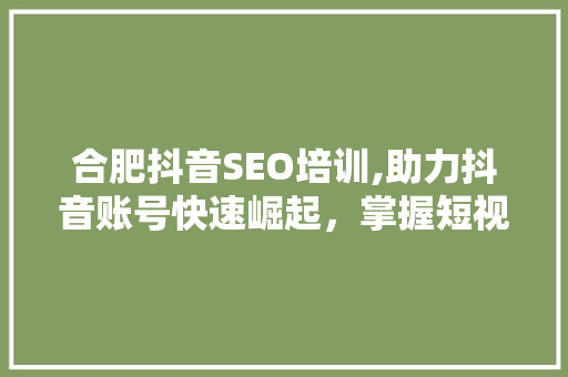 合肥抖音SEO培训,助力抖音账号快速崛起，掌握短视频流量密码