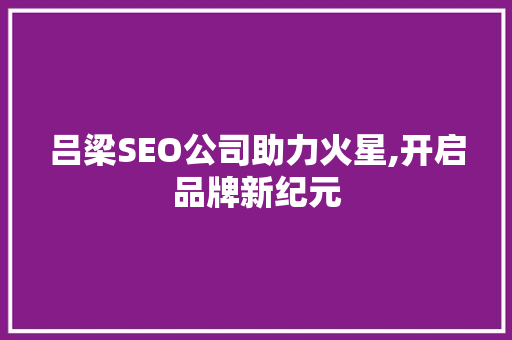 吕梁SEO公司助力火星,开启品牌新纪元