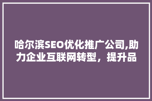 哈尔滨SEO优化推广公司,助力企业互联网转型，提升品牌影响力