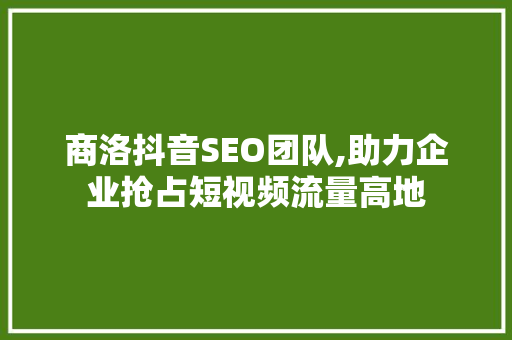 商洛抖音SEO团队,助力企业抢占短视频流量高地