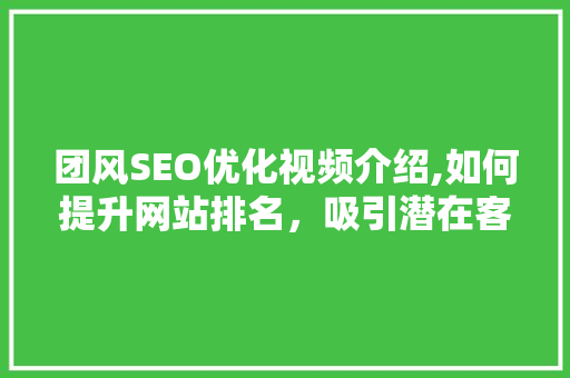 团风SEO优化视频介绍,如何提升网站排名，吸引潜在客户