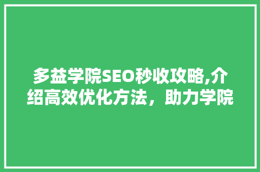 多益学院SEO秒收攻略,介绍高效优化方法，助力学院品牌腾飞