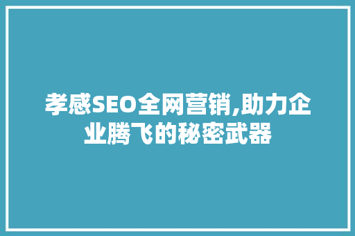 孝感SEO全网营销,助力企业腾飞的秘密武器