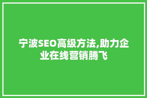 宁波SEO高级方法,助力企业在线营销腾飞 宁波SEO高级方法,助力企业在线营销腾飞