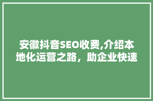 安徽抖音SEO收费,介绍本地化运营之路，助企业快速崛起
