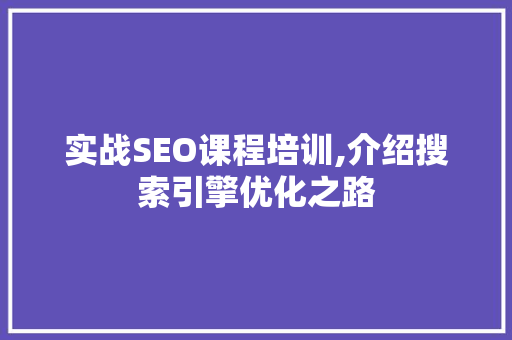 实战SEO课程培训,介绍搜索引擎优化之路