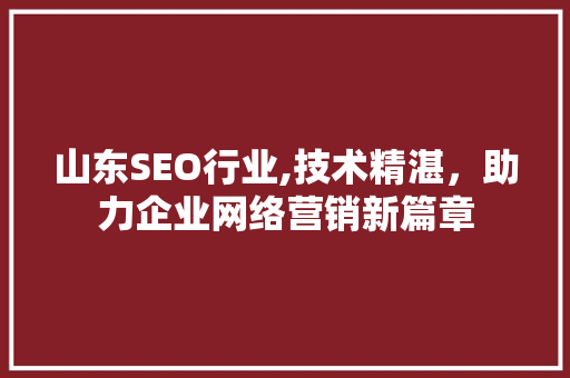 山东SEO行业,技术精湛，助力企业网络营销新篇章