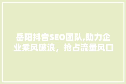 岳阳抖音SEO团队,助力企业乘风破浪，抢占流量风口