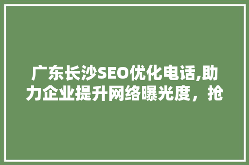 广东长沙SEO优化电话,助力企业提升网络曝光度，抢占市场先机