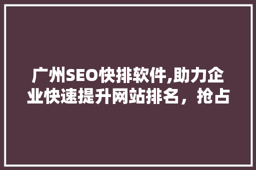 广州SEO快排软件,助力企业快速提升网站排名，抢占市场先机