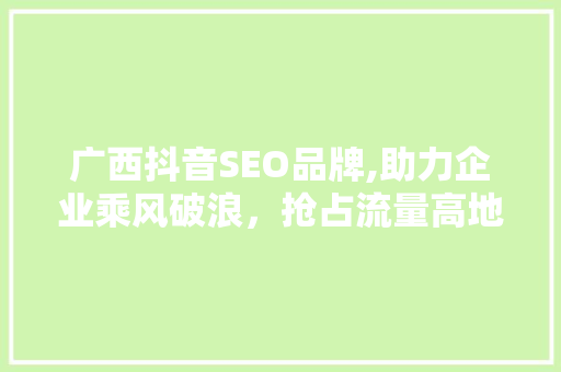 广西抖音SEO品牌,助力企业乘风破浪，抢占流量高地