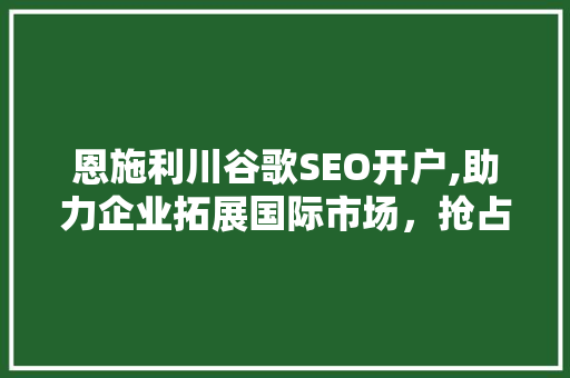 恩施利川谷歌SEO开户,助力企业拓展国际市场，抢占全球商机