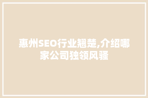 惠州SEO行业翘楚,介绍哪家公司独领风骚