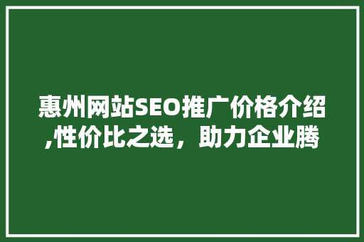 惠州网站SEO推广价格介绍,性价比之选，助力企业腾飞