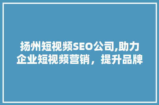 扬州短视频SEO公司,助力企业短视频营销，提升品牌影响力