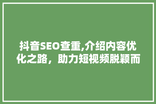 抖音SEO查重,介绍内容优化之路，助力短视频脱颖而出