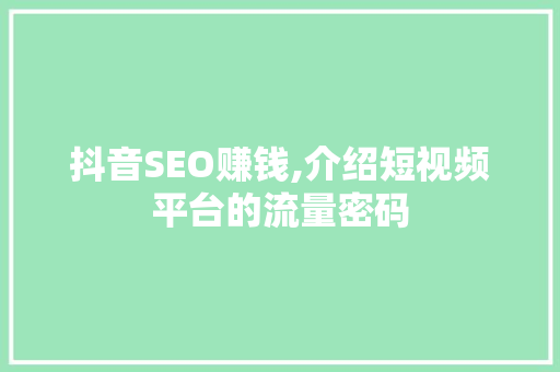 抖音SEO赚钱,介绍短视频平台的流量密码