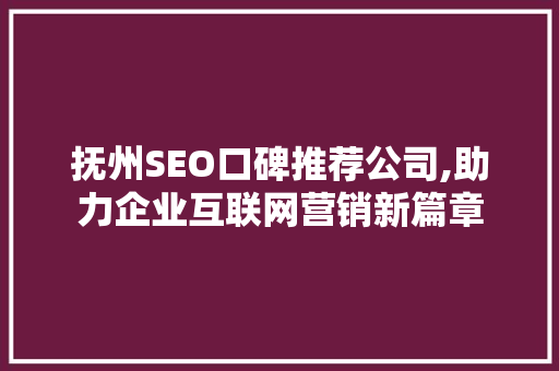 抚州SEO口碑推荐公司,助力企业互联网营销新篇章