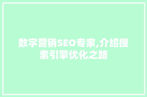 数字营销SEO专家,介绍搜索引擎优化之路