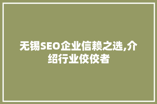 无锡SEO企业信赖之选,介绍行业佼佼者