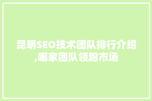 昆明SEO技术团队排行介绍,哪家团队领跑市场