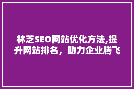林芝SEO网站优化方法,提升网站排名，助力企业腾飞